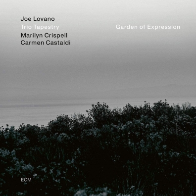 Joe Lovano (Джо Ловано): Garden Of Expression