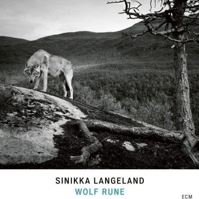 Sinikka Langeland: Wolf Rune