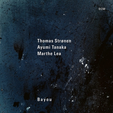 Thomas Stronen: Bayou