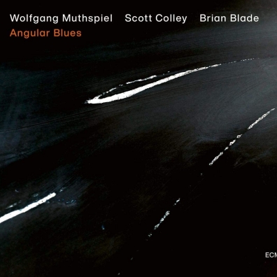 Wolfgang Muthspiel (Вольфганг Мутшпиль): Angular Blues