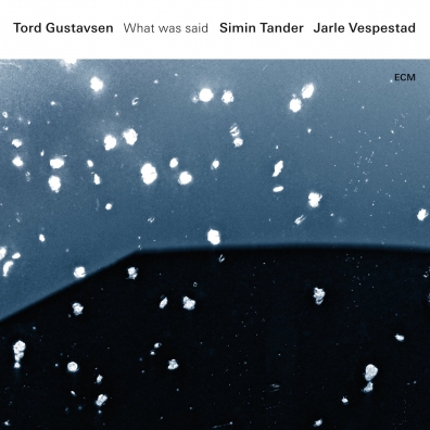 Tord Gustavsen: Tord Gustavsen: What Was Said