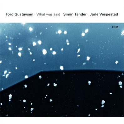 Tord Gustavsen: Tord Gustavsen: What Was Said