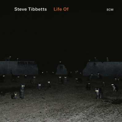 Tibbetts Steve (Стив Тиббетс): Life Of