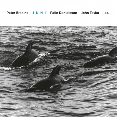 Juni Peter Erskine: Juni
