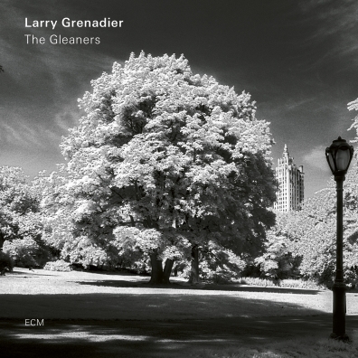 Larry Grenadier (Ларри Гренадьер): The Gleaners