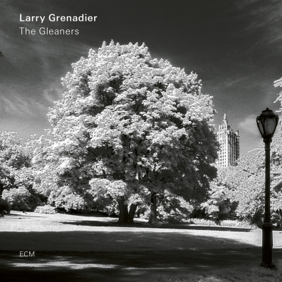 The Gleaners Larry Grenadier (Ларри Гренадьер): The Gleaners