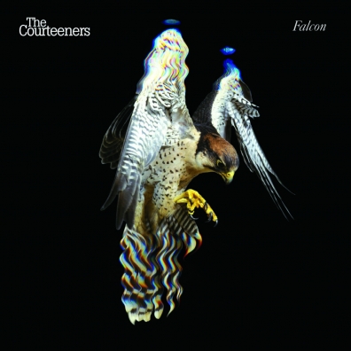 The Courteeners: Falcon (RSD2019)