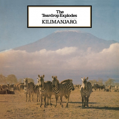 The Teardrop Explodes: Kilimanjaro