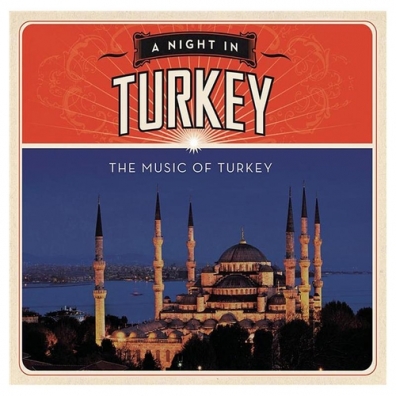 A Night In Turkey