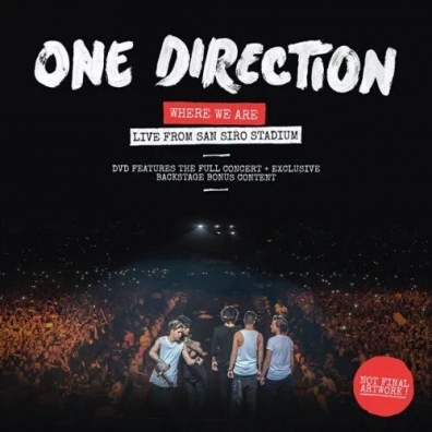 One Direction (Оне Директион): Where We Are - Live From San Siro Stadium
