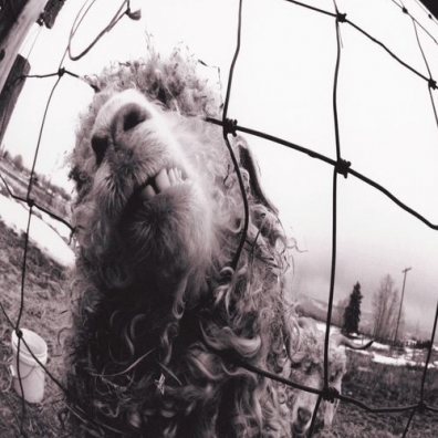 Vs. Pearl Jam (Перл Джем): Vs.