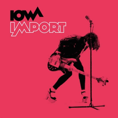 Iowa (Айова): Import