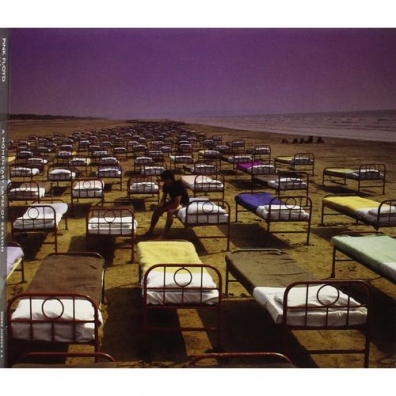 Pink Floyd (Пинк Флойд): A Momentary Lapse Of Reason